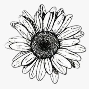 Meet your Posher, Kat